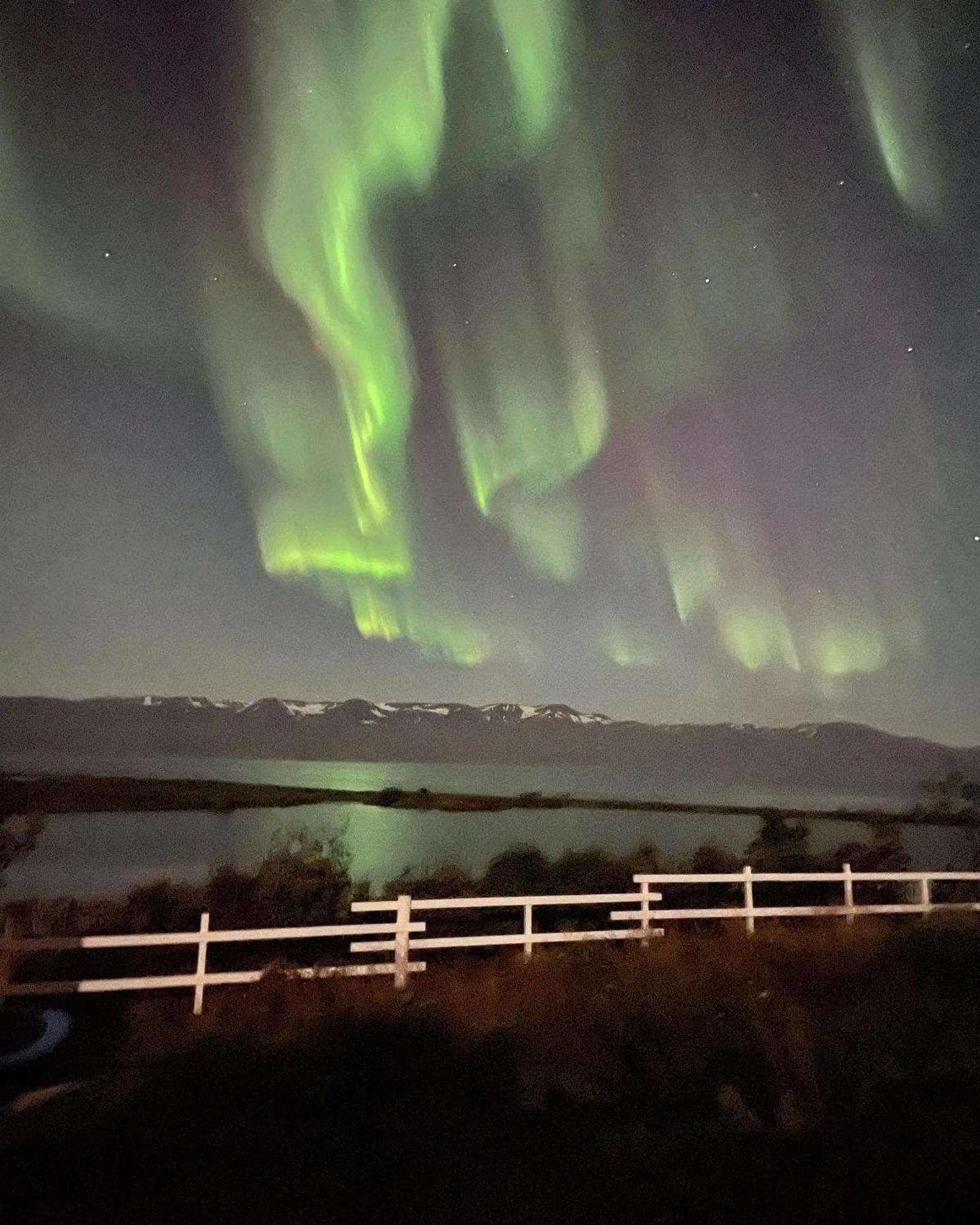 Kaldbaks-Kot Cottages Húsavík المظهر الخارجي الصورة