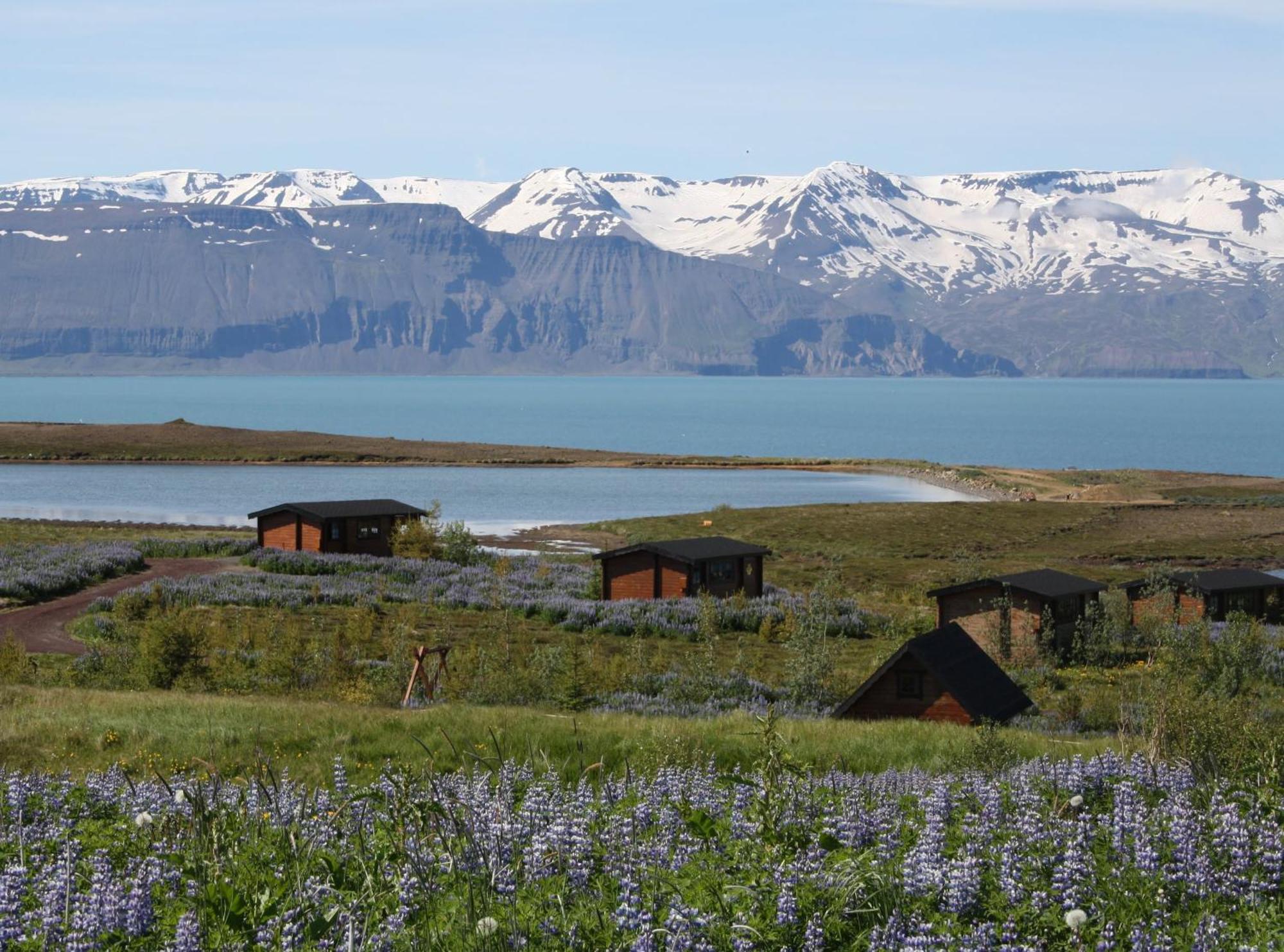 Kaldbaks-Kot Cottages Húsavík المظهر الخارجي الصورة